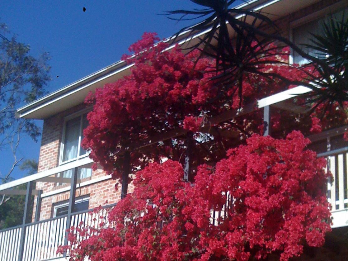 Linley House Bed & Breakfast ซิดนีย์ ภายนอก รูปภาพ