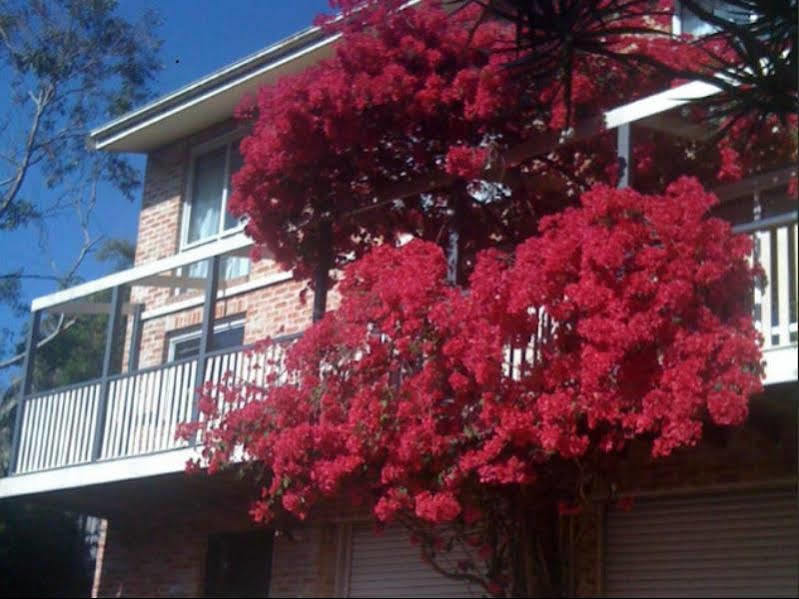 Linley House Bed & Breakfast ซิดนีย์ ภายนอก รูปภาพ