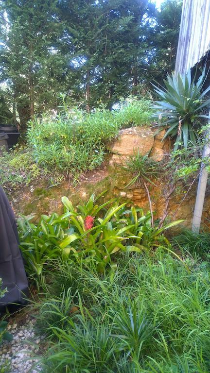 Linley House Bed & Breakfast ซิดนีย์ ภายนอก รูปภาพ